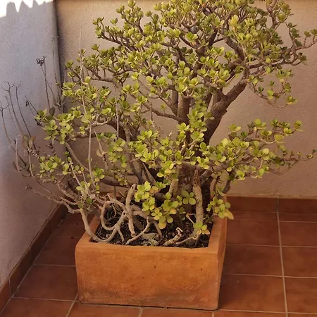 La Casa De Piedras Apartment *